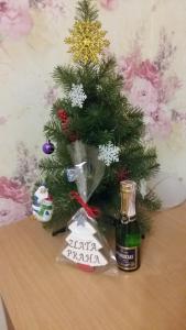 穆卡切沃萨拉塔普拉哈宾馆的相册照片 更多45张照片