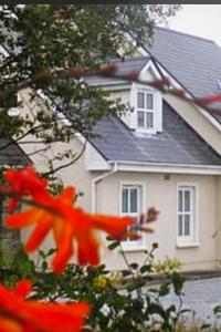 ein weißes Haus und ein Haus mit einem Haus in der Unterkunft Earlscourt in Glenbeigh