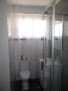 里斯本的住宿－Belém Cozy Bedroom，一间带卫生间和淋浴的浴室