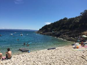 a group of people swimming in the water at a beach at Apartment Nika in Šegotići