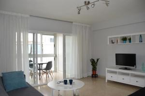 貝尼多姆的住宿－Ruzafa Rincon Español，带沙发、电视和桌子的客厅