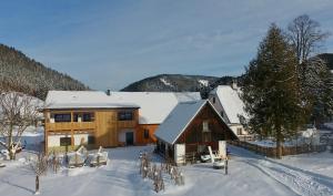 a large house in the snow with snow at Ferienwohnungen Orth in Lassing +5 photos