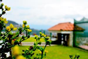 Zahrada ubytování Hostal Mirador de Otavalo