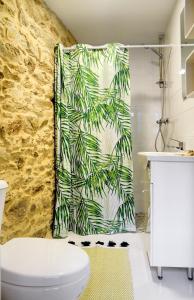 a bathroom with a shower curtain with a toilet at Numa Rúa Travesa in Santiago de Compostela