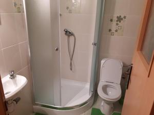 a bathroom with a shower and a toilet and a sink at Homestay Renata in Nová Lesná +42 photos