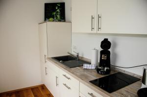 a kitchen with a sink and a counter top at Allgäuer Appartements in Lachen