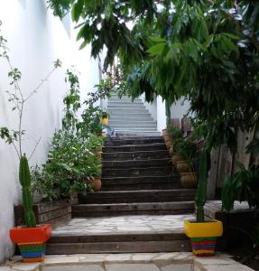 a set of stairs with potted plants at Pousada Passagem dos Papagaios in Cabo Frio