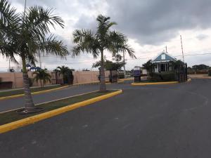 una calle con dos palmeras y un edificio en Jacaranda Homes en Spanish Town