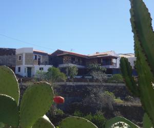 a house on the hill with a cactus at Finca Wawa Tenerife in Guía de Isora
