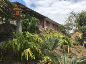 a house on the side of a hill with plants at NUESTRA CASA -OUR HOME Yunguilla Valley by A2CC in Tobachirin