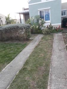 Zahrada ubytování Jacaranda Homes