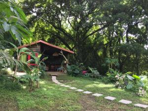Vườn quanh Martinique Treehouse