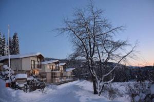 una casa en la nieve con un árbol en Amampuri Village, en Pamporovo