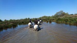 un groupe de personnes faisant du cheval à travers l'eau dans l'établissement Le Mas d'Icard, à Saintes-Maries-de-la-Mer