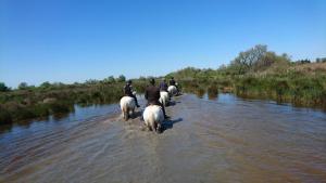 un gruppo di persone che cavalcano in acqua di Le Mas d'Icard a Saintes-Maries-de-la-Mer