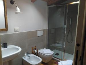 a bathroom with a shower and a sink and a toilet at B&B Casa Lulù in Brembate