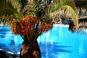 Bazén v ubytování Zephyros Hotel nebo v jeho okolí