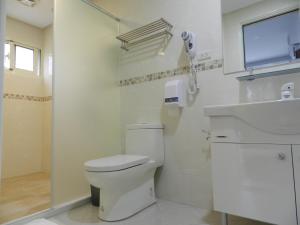 鹿谷的住宿－半天陶坊 ，白色的浴室设有卫生间和水槽。