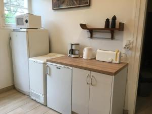 eine Küche mit einem weißen Kühlschrank und einer Mikrowelle in der Unterkunft Villa Pagnol in Andernos-les-Bains + 15 Fotos