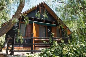 a cabin in the woods with a tree at Casetta Pizziddu in San Giovanni Gemini