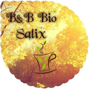 Bed and Breakfast Bio Salix في بادوفا: لوحة لكوب مع كلمة bbg sailia