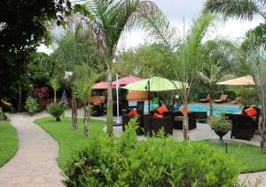 盧薩卡的住宿－棕櫚木山林小屋，一个带游泳池、椅子和遮阳伞的度假村