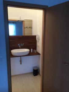 a bathroom with a sink and a mirror at Pension Am Römerhof in Münzenberg