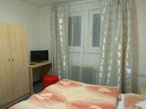 TV a/nebo společenská místnost v ubytování Hotel Lidový dům