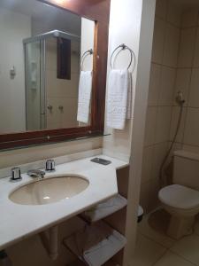 a bathroom with a sink and a toilet and a mirror at Residencial Pousada do Serrano in Gramado