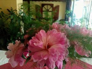 bukiet różowych kwiatów na stole w obiekcie Guest House Zodiac w mieście Samokow