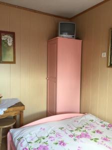 a bedroom with a pink cabinet and a bed at Pokoje U Eli in Brzegi