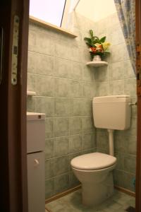 トッレ・サン・ジョヴァンニ・ウジェントにあるvillino Elisa mare verdeのバスルーム(トイレ付)、棚に植物