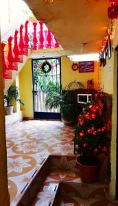 Una habitación con una puerta con un árbol de Navidad. en Hotel Economico, en Xilitla