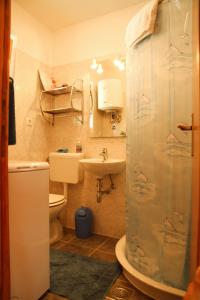 a bathroom with a shower and a toilet and a sink at Villa Kolacje in Škrip