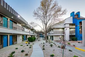 une cour d'un immeuble d'appartements avec un arbre dans l'établissement Ramada by Wyndham El Paso, à El Paso