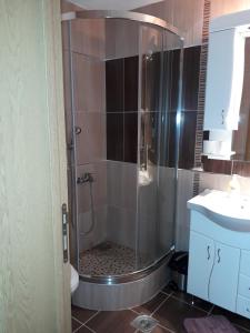 Vonios kambarys apgyvendinimo įstaigoje Apartments Panovic
