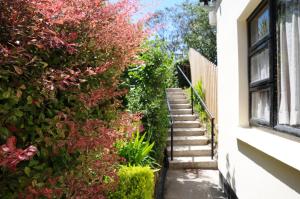 A garden outside Coach Field Camp