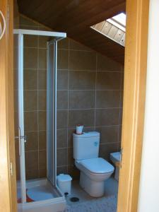 a bathroom with a toilet and a shower at Casa da muralha in Figueira da Foz
