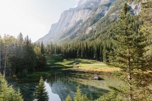 a view of a river with a mountain in the background at Fairmont Banff Springs in Banff