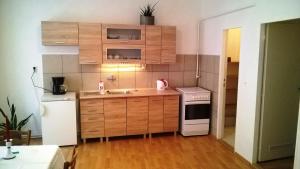海布Skromný apartmán v centru Chebu的配有木质橱柜、水槽和炉灶的厨房