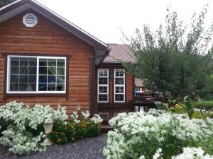 Zahrada ubytování Oraview Pension