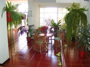ein Raum mit einem Tisch, Stühlen und Pflanzen in der Unterkunft Vila Marta in Funchal
