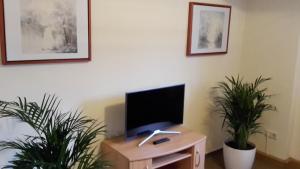 einen Flachbild-TV auf einem Holzständer mit zwei Pflanzen in der Unterkunft Villa Goldbrunnen Ferienwohnung 3 in Bad Elster