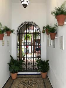 Fotografie z fotogalerie ubytování Casa longa v destinaci Córdoba