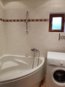 a bathroom with a bath tub and a toilet at Czech Paradise Village in Jenschowitz