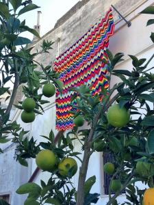 Κήπος έξω από το Albergo Diffuso Il Casale