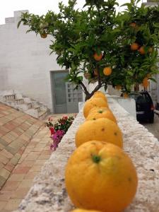 Φωτογραφία από το άλμπουμ του Albergo Diffuso Il Casale σε Ginosa