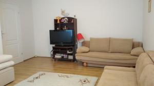 ein Wohnzimmer mit einem Sofa und einem TV in der Unterkunft Apartament u Michała in Krynica-Zdrój