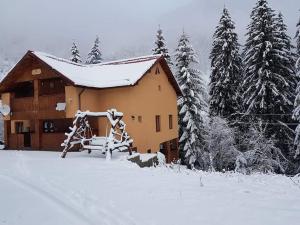a house with a snow covered yard next to a building at Cabana Cory Râușor in Rîu de Mori