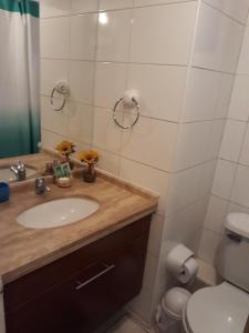 y baño con lavabo y aseo. en Apartment 209, en Santiago